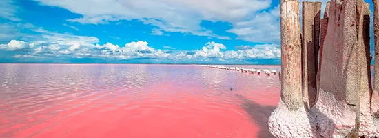 розовые озера